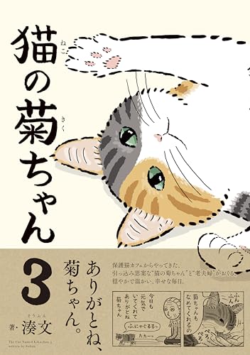 猫の菊ちゃん 3