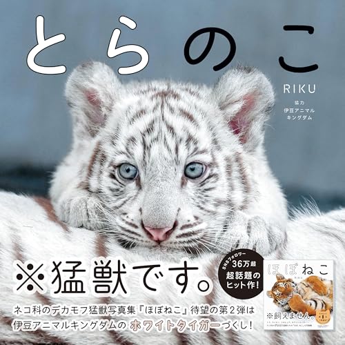 とらのこ