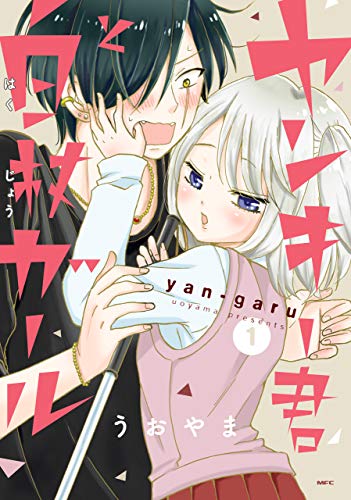 ヤンキー恋愛漫画本のおすすめ人気ランキング15選【2026年版】