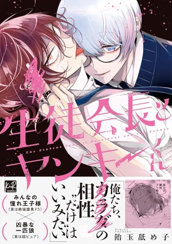 生徒会長とヤンキーくん【単行本版／電子限定描き下ろしマンガ付】 生徒会長とヤンキーくん【単行本版】 (KiR comics)