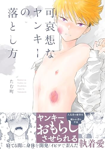 可哀想なヤンキーの落とし方 (ふゅーじょんぷろだくと)