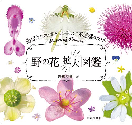 野の花拡大図鑑