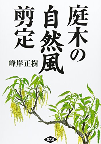 庭木の自然風剪定