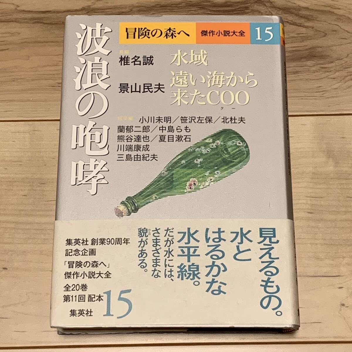 初版帯付 冒険の森へ傑作小説大全 15 波浪の咆哮 刊 椎名誠 景山民夫 中島らも SF 冒険小説