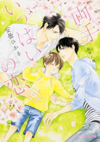 両手いっぱいの恋 (B-PRINCE文庫)