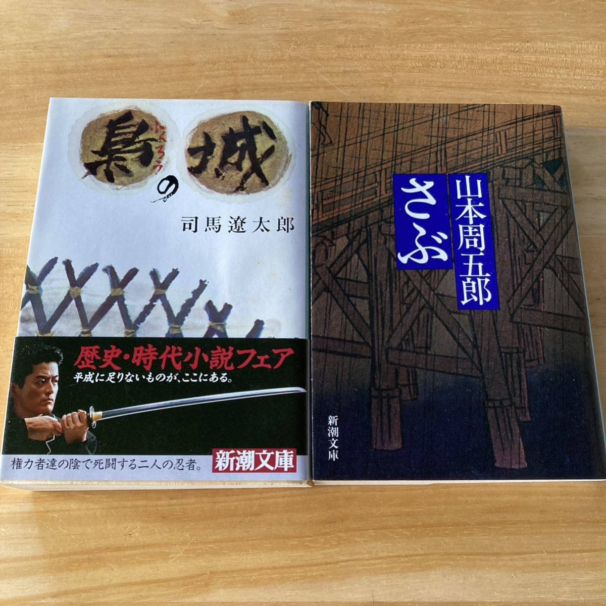 Historical Fiction Bunko 2 Volume Set, Ryotaro Shiba, Owl's Castle (Naoki Prize Winner Work), Shugoro Yamamoto, Sabu, Feature Length Era Novel
