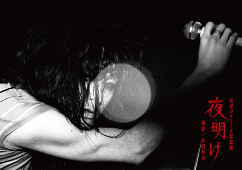 CDジャーナルムック 毛皮のマリーズ写真集『夜明け』 撮影:有賀幹夫(ムック)