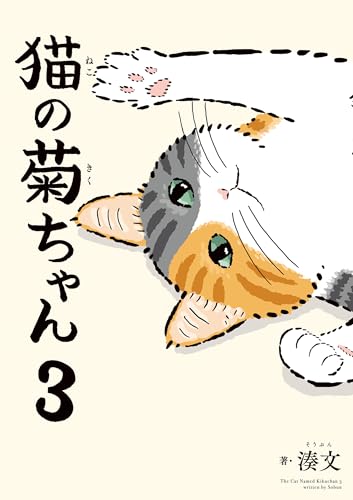 猫の菊ちゃん 3