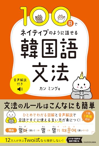 100日でネイティブのように話せる韓国語文法 音声解説付き