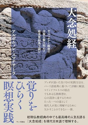 大念処経: ヴィパッサナー瞑想の全貌を解き明かす最重要経典を読む
