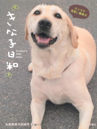 きな子日和