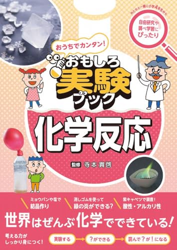 おうちでカンタン!おもしろ実験ブック 化学反応