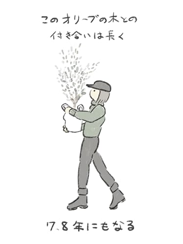 オリーブは長生き 友達の日々