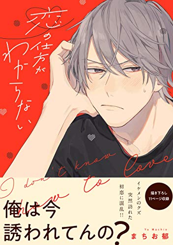 恋の仕方がわからない【電子限定特典つき】 (B's-LOVEY COMICS)