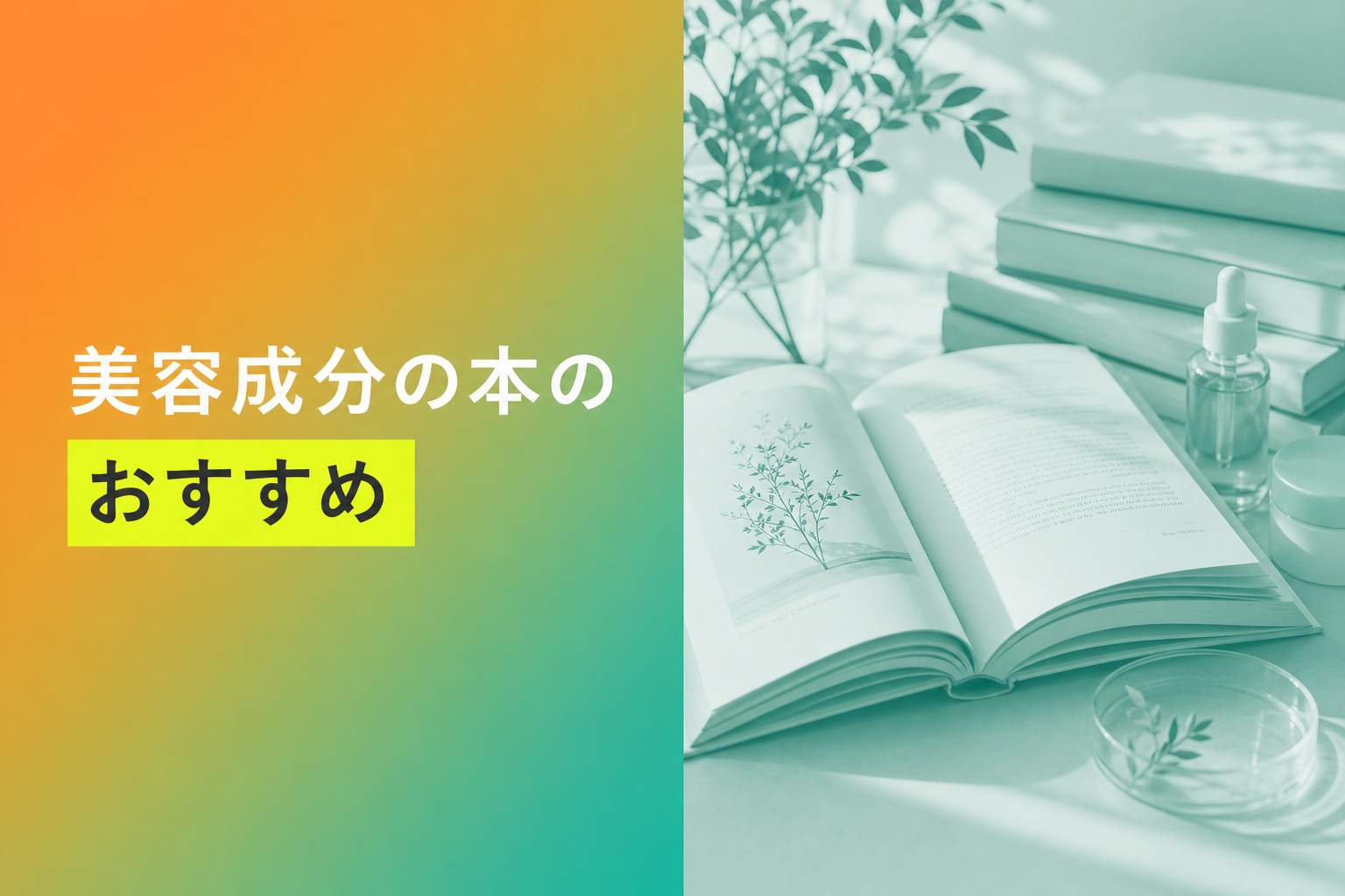 美容成分の本のおすすめ人気ランキング25選【2026年版】