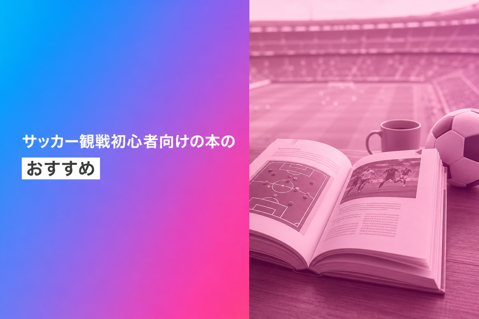 サッカー観戦初心者向けの本のおすすめ人気ランキング25選【2026年版】